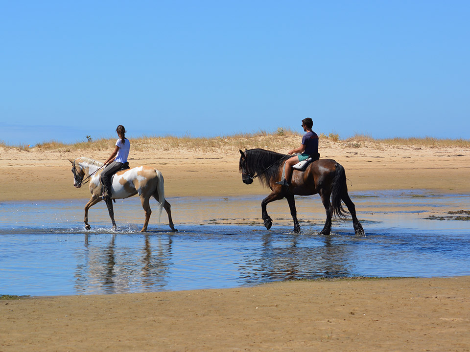 Tavira Equestrian Tourism